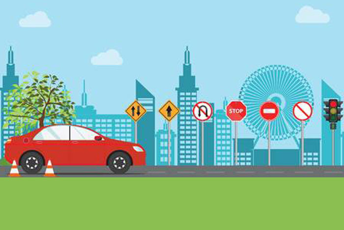 Driving Instructors